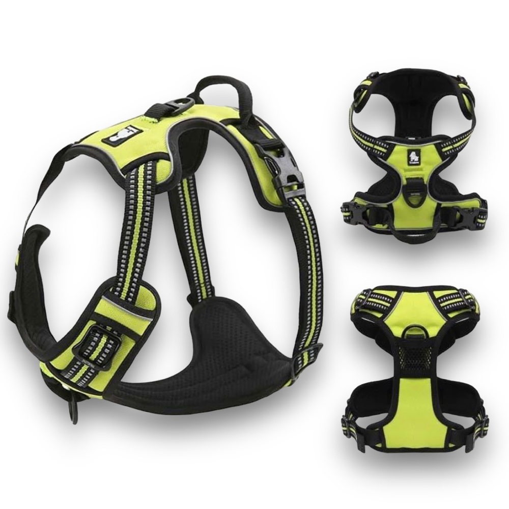 True Love dog harness